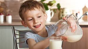 漱石や子規も愛した (飲み過ぎ有害な) 牛乳の栄養効果
